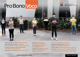 Pro Bono Voco Issue 4: November 2020