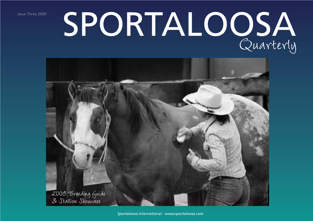 Sportaloosa Stallions in the Press