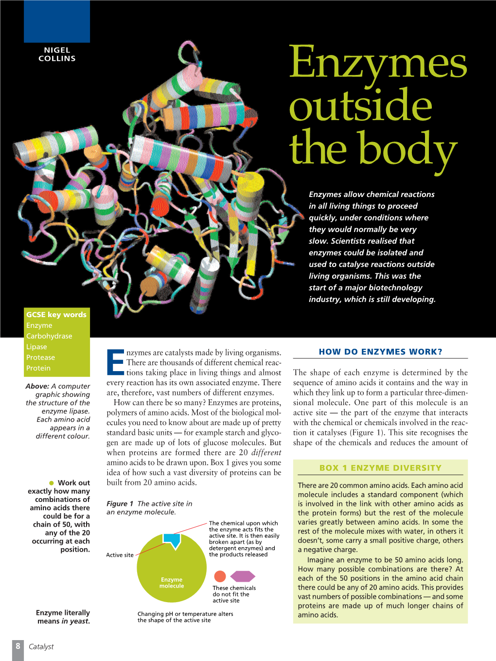 Enzymes Outside