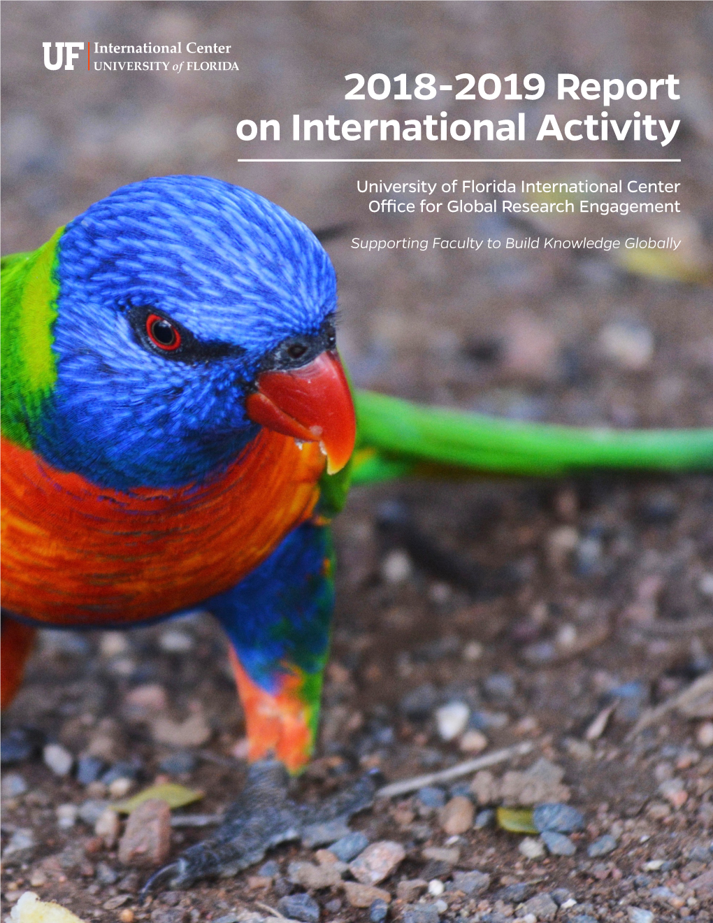 2018-2019 Report on International Activity