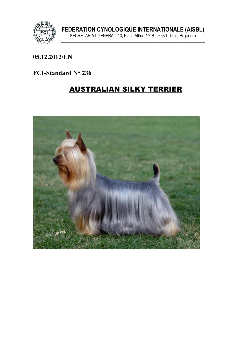 Australian Silky Terrier