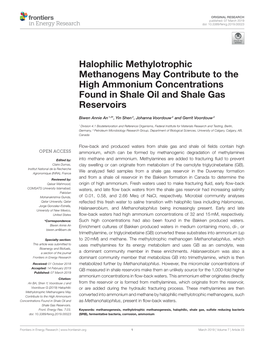 Halophilic Methylotrophic Methanogens May Contribute to the High Ammonium Concentrations Found in Shale Oil and Shale Gas Reservoirs