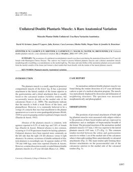 Unilateral Double Plantaris Muscle: a Rare Anatomical Variation