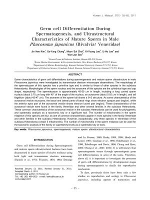 Germ Cell Differentiation During Spermatogenesis, and Ultrastructural Characteristics of Mature Sperm in Male Phacosoma Japonicus (Bivalvia: Veneridae)