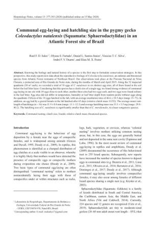 Communal Egg-Laying and Hatchling Size in the Pygmy Gecko Coleodactylus Natalensis (Squamata: Sphaerodactylidae) in an Atlantic Forest Site of Brazil