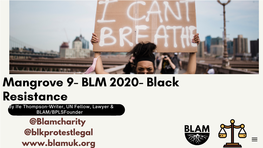 Mangrove & BLM Protests Presentation Slides by Ife Thompson, Co-Founder of Black Protest Legal Support