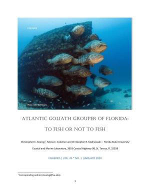 Atlantic Goliath Grouper of Florida