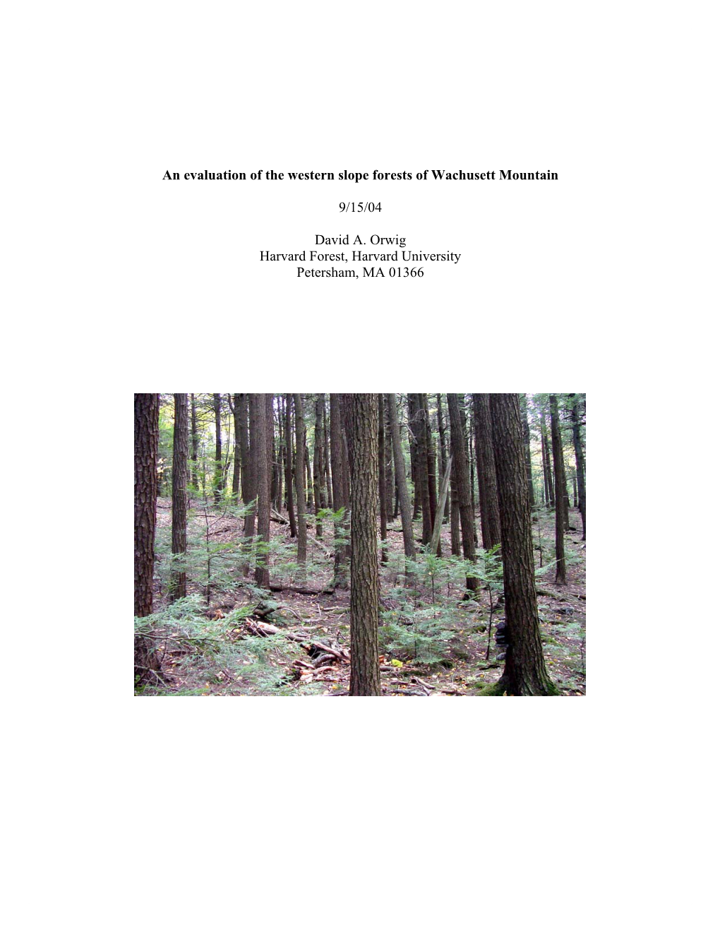 Proposal to Study the West Slope Forests of Wachusett Mountain