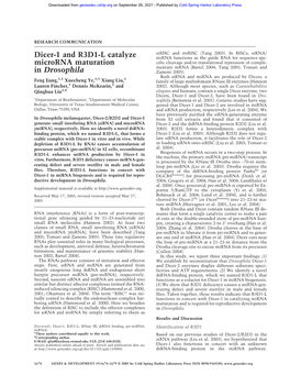 Dicer-1 and R3D1-L Catalyze Microrna Maturation in Drosophila