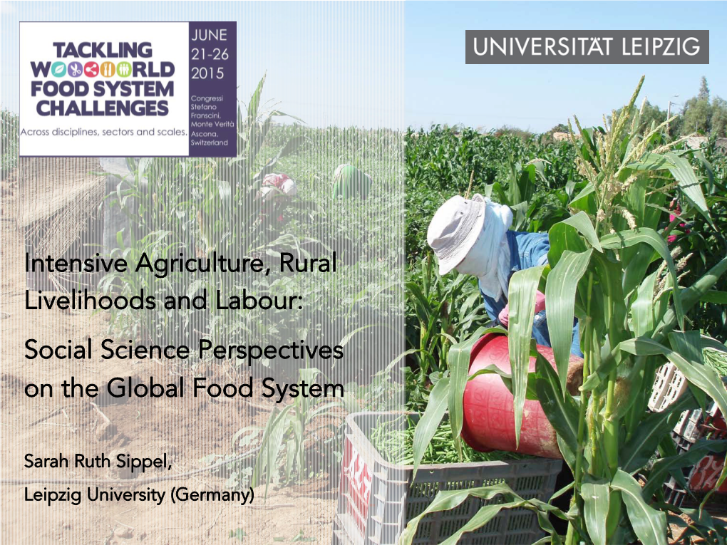 Intensive Agriculture, Rural Livelihoods and Labour: Social Science Perspectives on the Global Food System