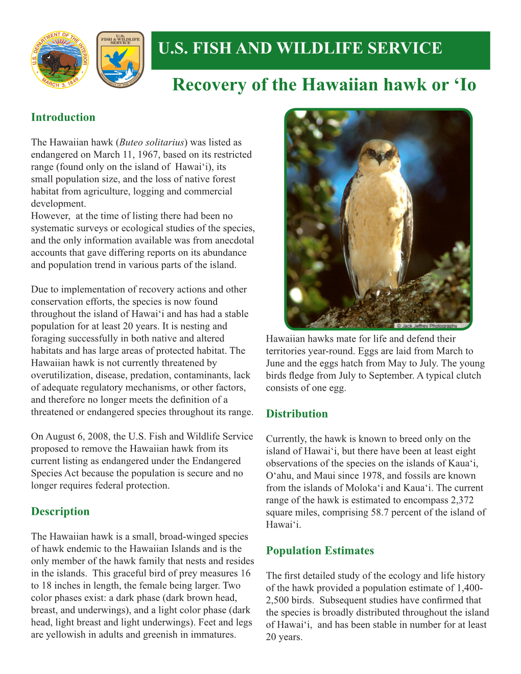 Recovery of the Hawaiian Hawk Or ‘Io