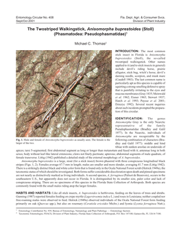 The Twostriped Walkingstick, Anisomorpha Buprestoides (Stoll) (Phasmatodea: Pseudophasmatidae)1