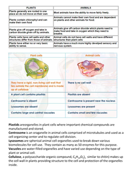 Plants Providing Structure to the Cell and Protection of the Organelles Inside