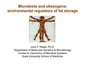 Microbiota and Obesogens: Environmental Regulators of Fat Storage