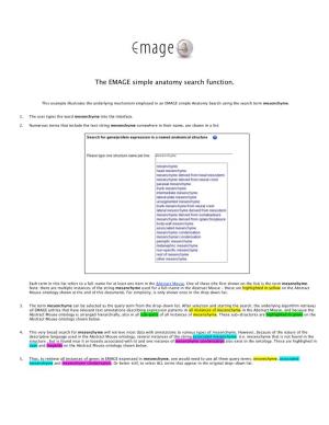 The EMAGE Simple Anatomy Search Function