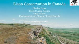Plains Bison and Wood Bison Conservation in Canada