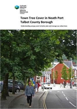 Town Tree Cover in Neath Port Talbot County Borough