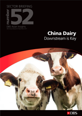 China Dairy Downstream Is Key 19