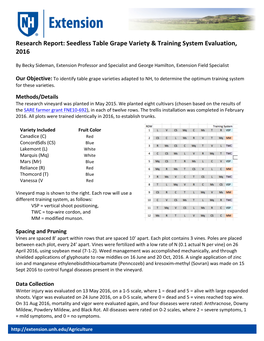 Seedless Table Grape Variety & Training System Evaluation, 2016
