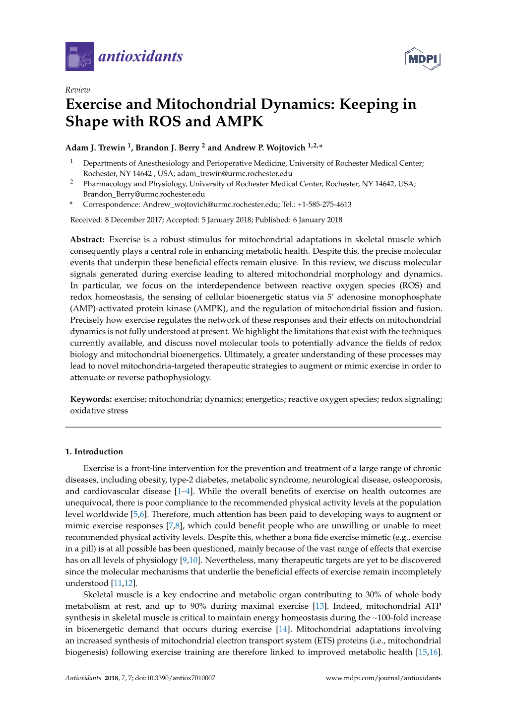 Exercise and Mitochondrial Dynamics: Keeping in Shape with ROS and AMPK