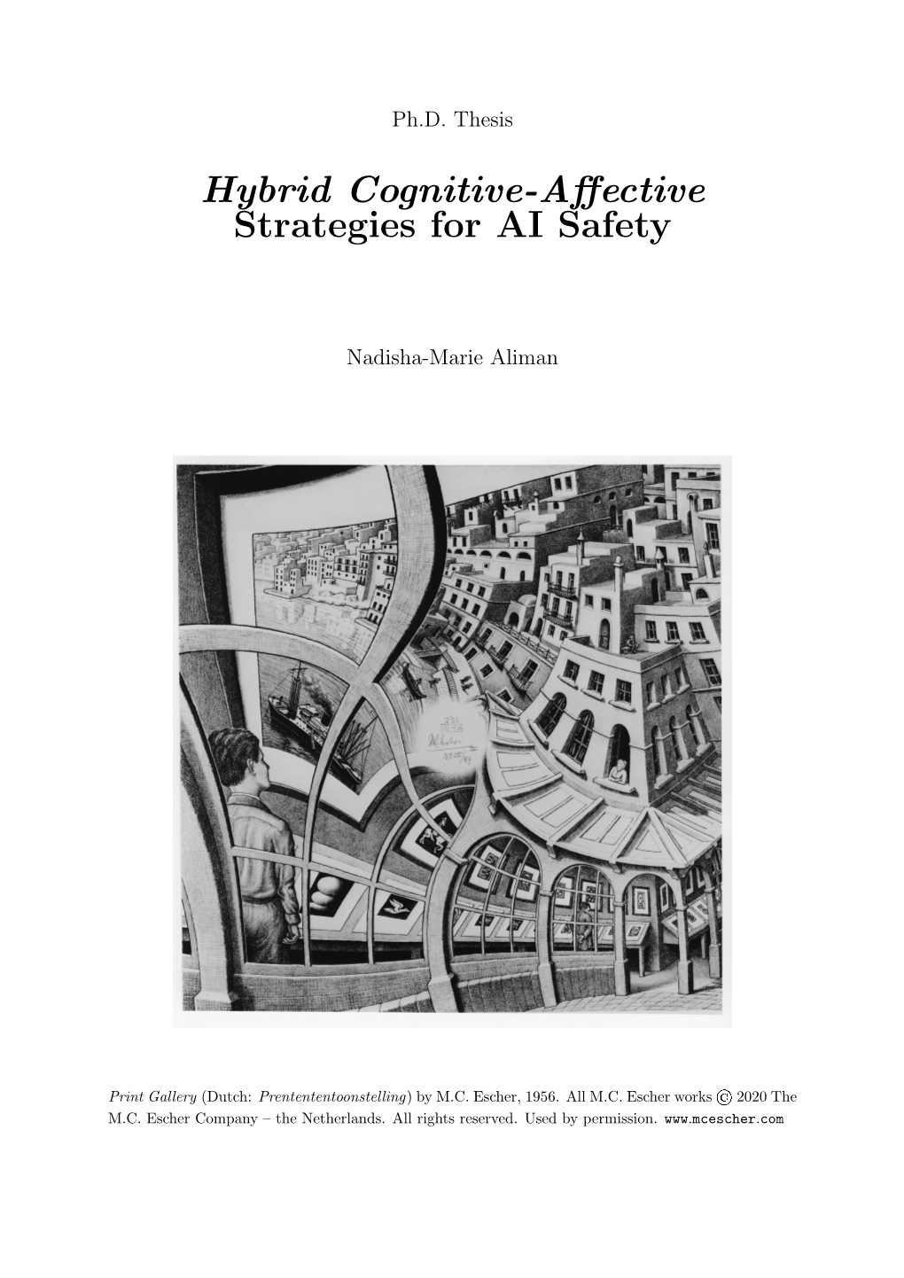 Hybrid Cognitive-Affective Strategies for AI Safety