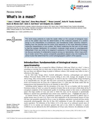 What's in a Mass?