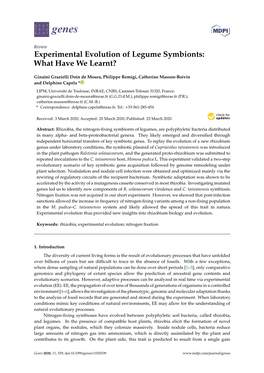 Experimental Evolution of Legume Symbionts: What Have We Learnt?