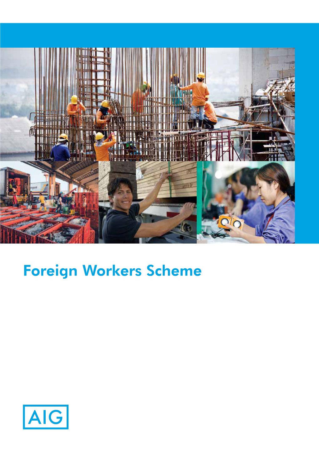 Foreign Workers Scheme