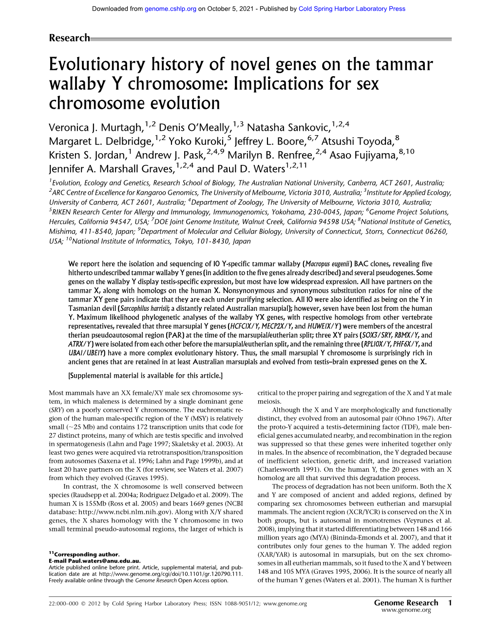 Evolutionary History of Novel Genes on the Tammar Wallaby Y Chromosome: Implications for Sex Chromosome Evolution