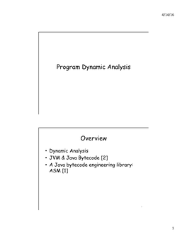 Program Dynamic Analysis Overview