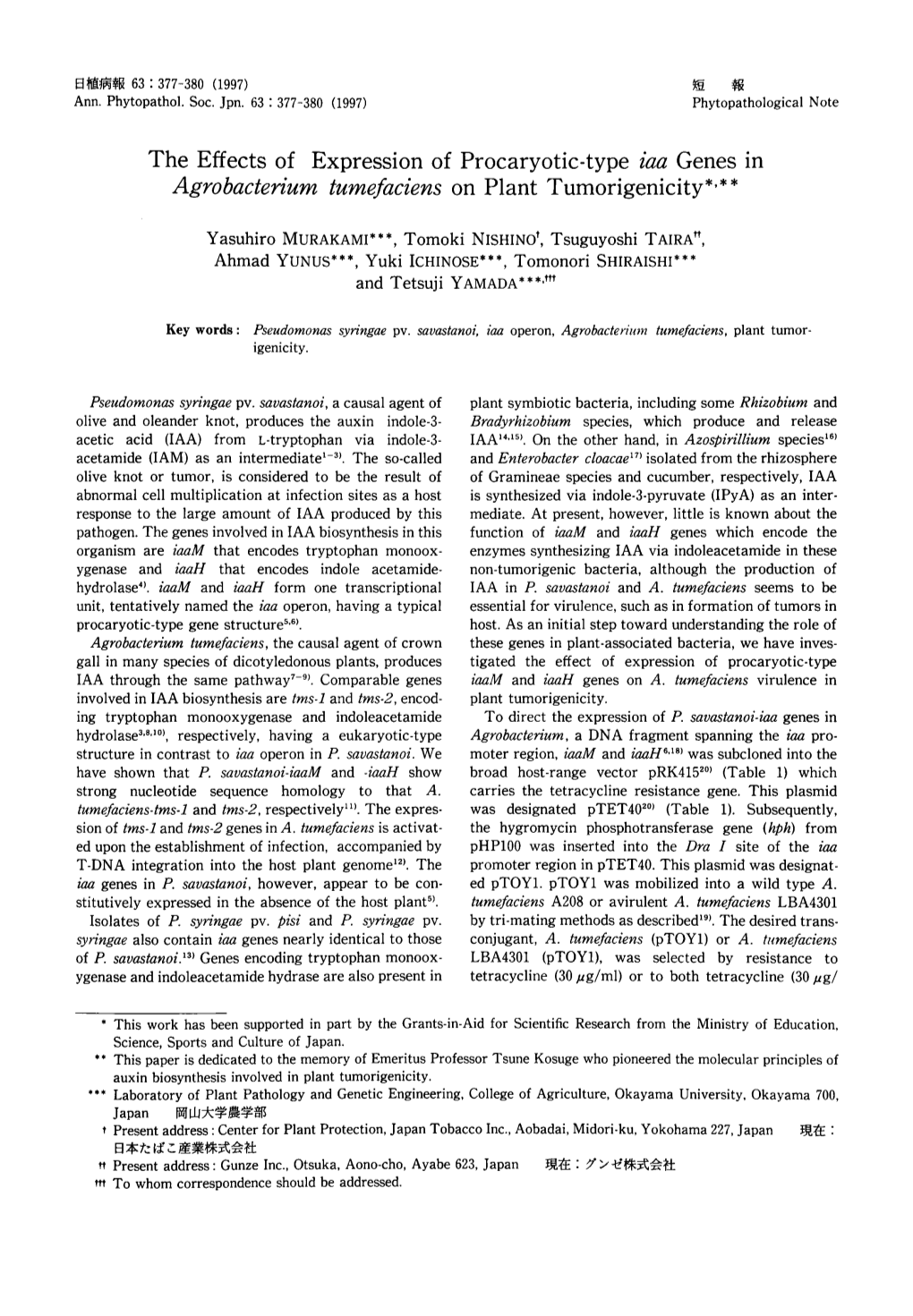 The Effects of Expression of Procaryotic-Type Iaa Genes in Agrobacterium Tumefaciens on Plant Tumorigenicity*,**