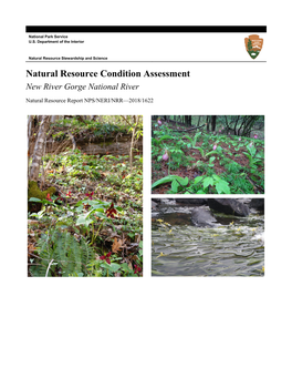Natural Resource Condition Assessment New River Gorge National River