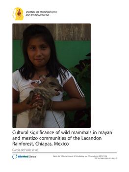 Cultural Significance of Wild Mammals in Mayan and Mestizo Communities of the Lacandon Rainforest, Chiapas, Mexico García Del Valle Et Al
