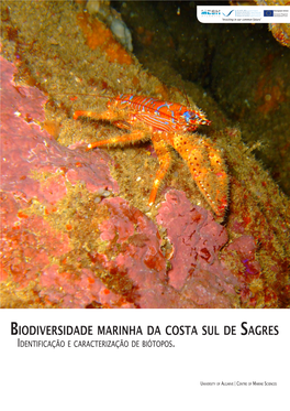 Biodiversidade Marinha Da Costa Sul De Sagres Identificação E Caracterização De Biótopos