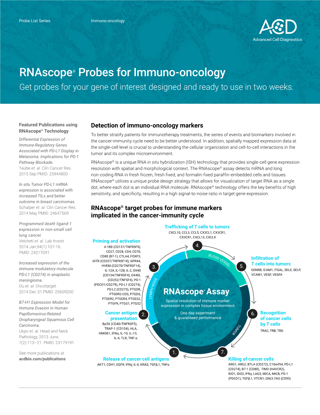 Rnascope® Probes for Immuno-Oncology Get Probes for Your Gene of Interest Designed and Ready to Use in Two Weeks