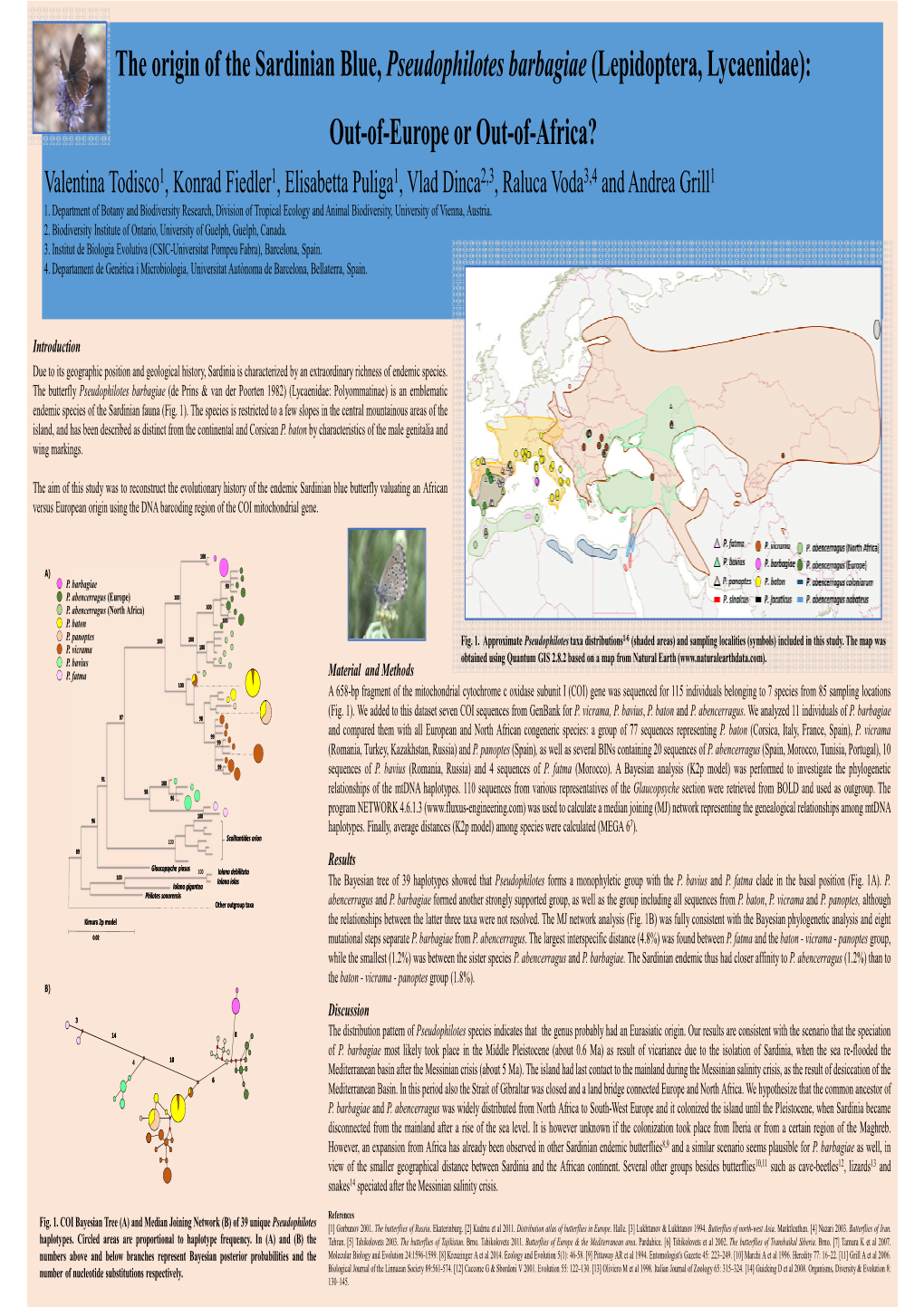 The Origin of the Sardinian Blue, Pseudophilotes Barbagiae