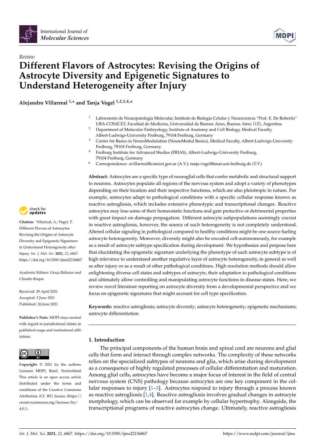 Revising the Origins of Astrocyte Diversity and Epigenetic Signatures to Understand Heterogeneity After Injury