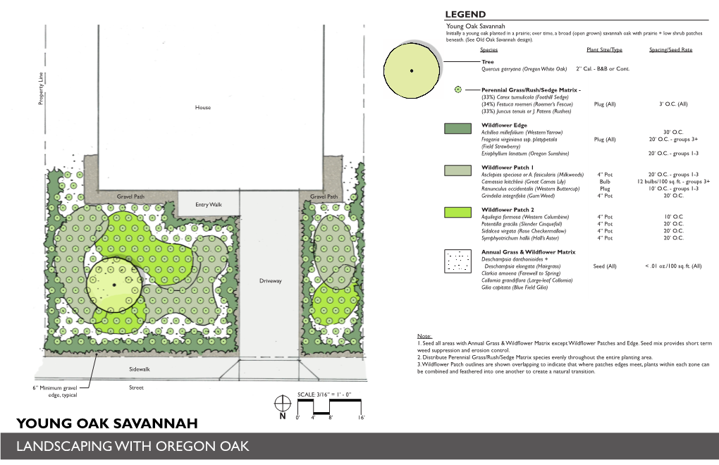 Landscaping with Oaks