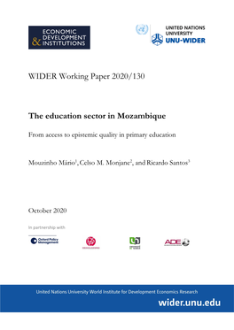WIDER Working Paper 2020/130-The Education Sector In
