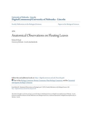 Anatomical Observations on Floating Leaves Robert B