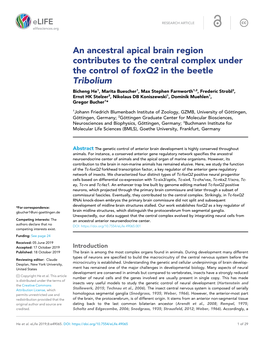 An Ancestral Apical Brain Region Contributes to the Central Complex