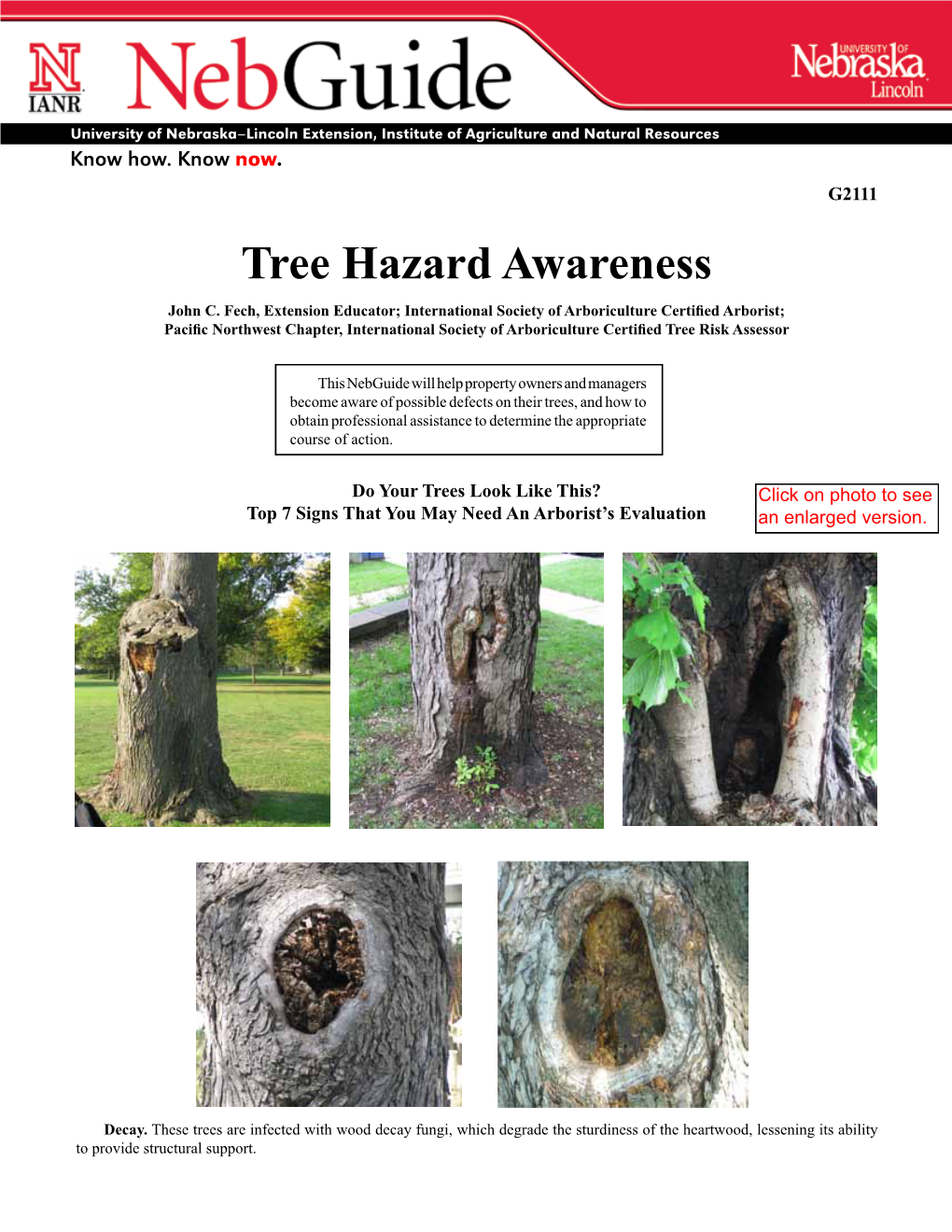 Tree Hazard Awareness John C