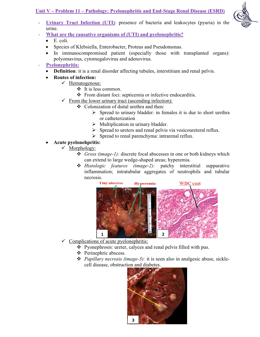 Pyelonephritis and End-Stage Renal Disease (ESRD)