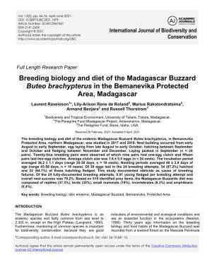 Breeding Biology and Diet of the Madagascar Buzzard Buteo Brachypterus in the Bemanevika Protected Area, Madagascar