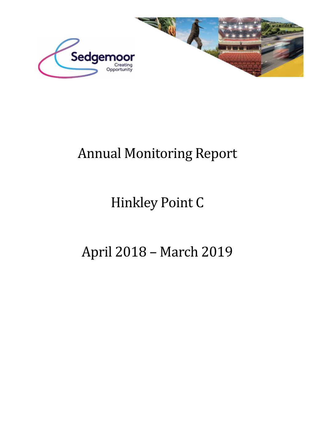 Annual Monitoring Report 2020