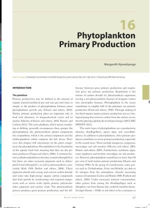 Phytoplankton Primary Production