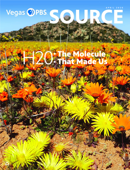 H20:The Molecule That Made Us