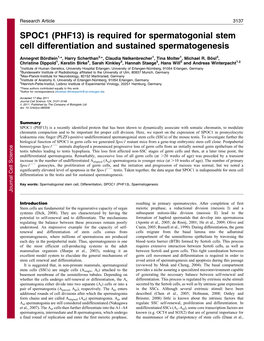 Is Required for Spermatogonial Stem Cell Differentiation and Sustained Spermatogenesis
