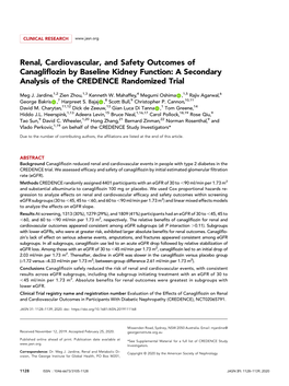 Renal, Cardiovascular, and Safety Outcomes of Canagliflozin