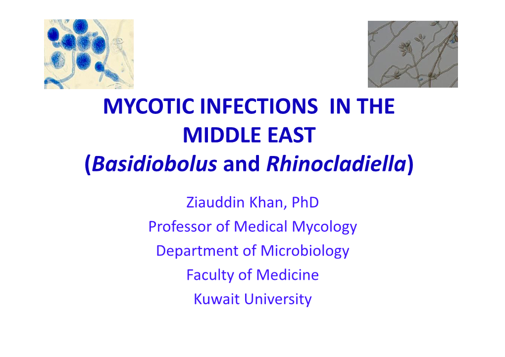 MYCOTIC INFECTIONS in the MIDDLE EAST (Basidiobolus and Rhinocladiella)